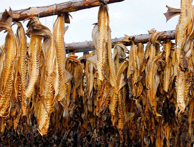 dry fish